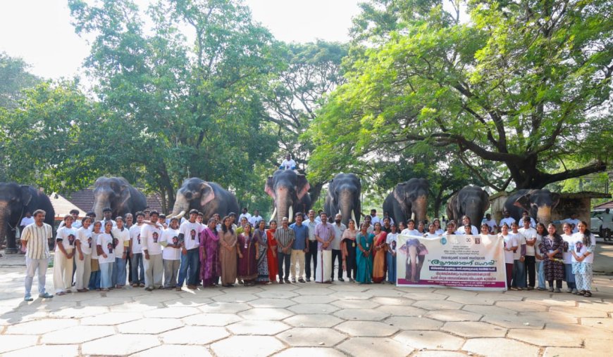 ആനയാണ് ലഹരി; പുന്നത്തൂർ ആനക്കോട്ടയിൽ സാമൂഹ്യനീതിവകുപ്പിന്റെ ലഹരിവിരുദ്ധ ക്യാമ്പയിൻ നടത്തി